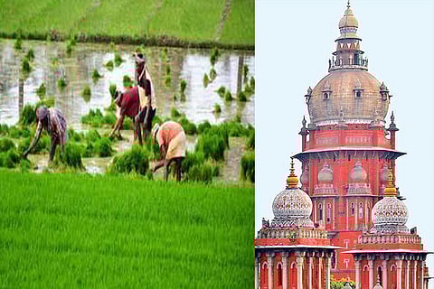 Expedite process to open ‘mirror accounts’ for farmers taking crop loans, directs High Court