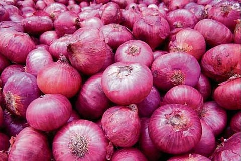 Centre offers buffer stock onion to states/UTs to check prices: Consumer Affairs Secy