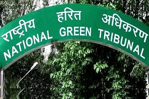 NGT forms panel to prepare plan for wildlife on IIT campus