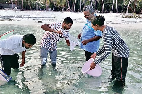 Scientists at the exploration site.