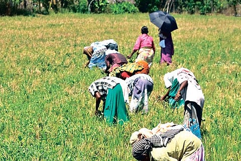 Rajasthan govt introduces bills to negate impact of Centre's farm laws