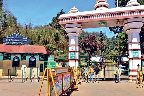 Government Botanical Garden, which usually draws large number of visitors, in Ooty remains shut