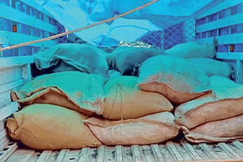 Three smugglers held, 34 bags of turmeric seized near Mandapam