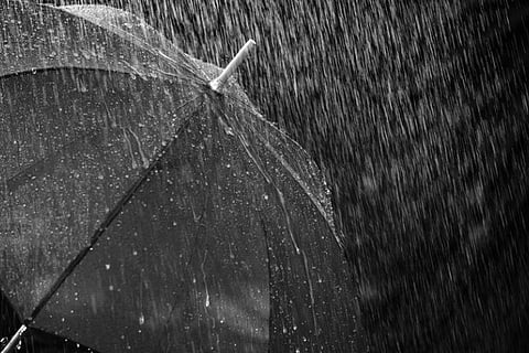 Picture Credit: IANS twitter profile