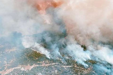 Around 19 killed, 3.2 mln acres burned in California wildfires