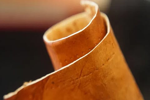 Leather products