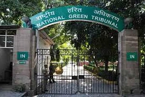 Anti-tobacco body welcomes NGT's move on disposal of cigarette,bidi butts