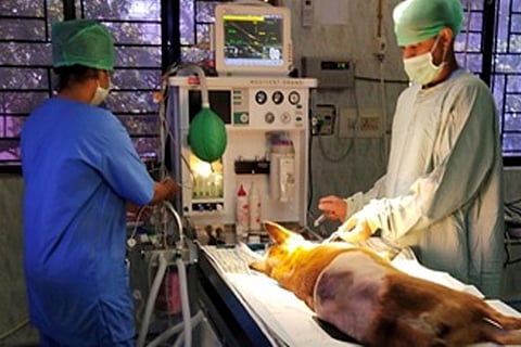 Representative image