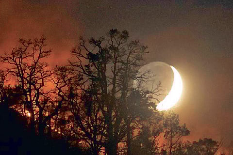 Racing against time: Avoiding a climate lockdown