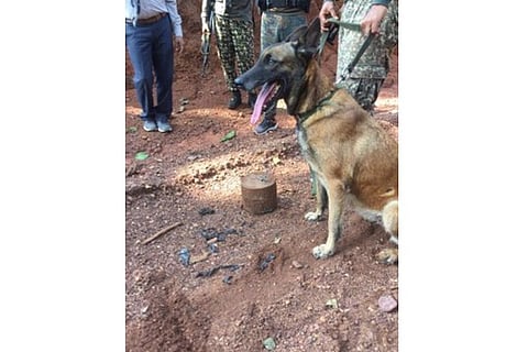 Picture Credit: IANS twitter profile