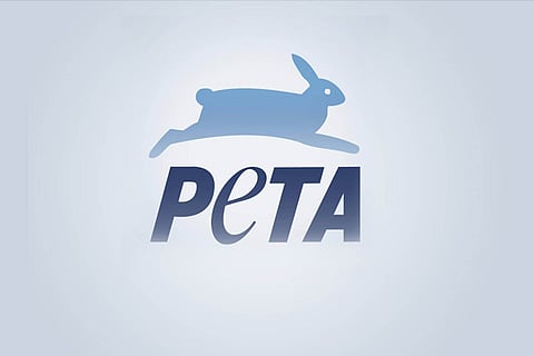 PETA urges Modi to shut slaughterhouses, meat shops on Gandhi Jayanti