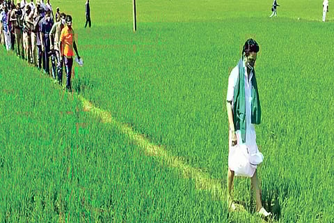 DMK president MK Stalin walking through a paddy field to the protest venue in Kancheepuram