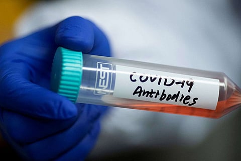 T cells recognise Covid variants in survivors: Study