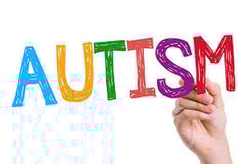 Probiotic foods can help children suffering from Autism