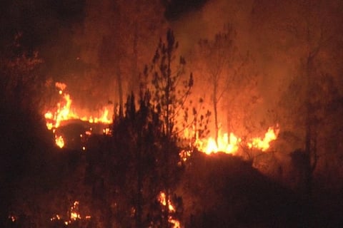 Centre orders deployment of NDRF teams, helicopters in Uttarakhand to tackle forest fires