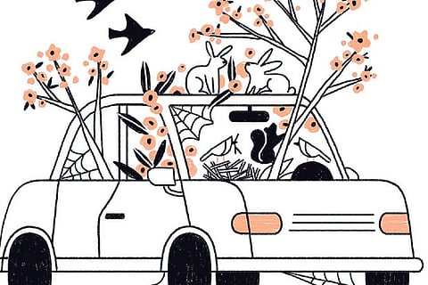 Driving less? Make sure your car hasn’t deteriorated during lockdown