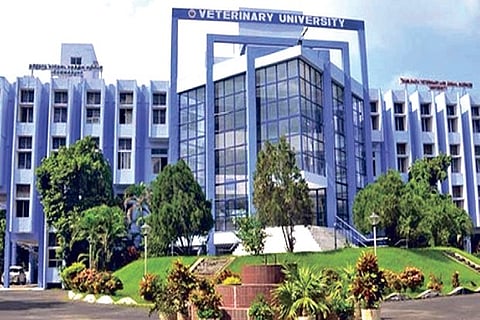 Tamil Nadu Veterinary and Animal Sciences University