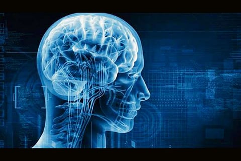 Key brain molecule may play role in many brain disorders, suggests study