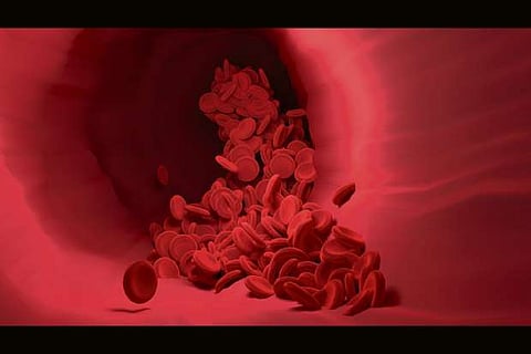 'Jumping' genes can prevent blood cancers: Study