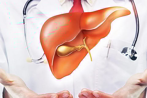 World Liver Day: ‘Sedentary lifestyle and antibiotics fuel fatty liver diseases’