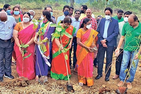 ‘Composting, planting trees can help rejuvenate planet Earth’