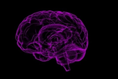 Representative image.