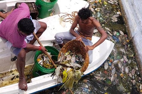 Hundreds of fish die in Teppakulam tank