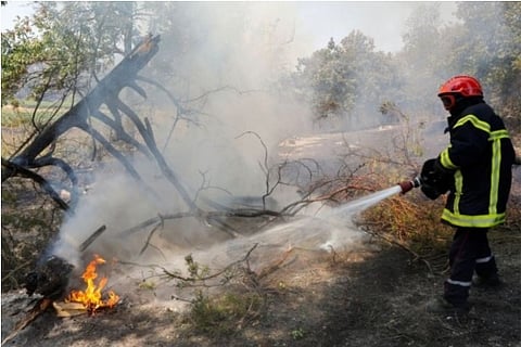 A firefighter attempts to put out a forest fire (Credit: Reuters)