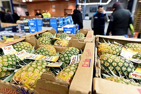 Pineapple-based agroforestry can address climate change challenges