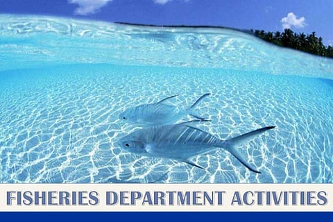 Representative image.