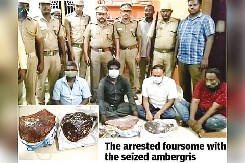 Hunt for Ambergris smugglers continues: Another 20 kg seized from 4 in Mangadu