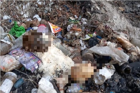 The decomposed body parts found in dumped in garbage yard