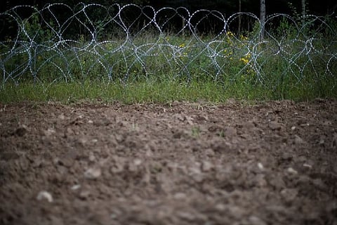 UN refugee agency presses Poland to help migrants on Belarus border