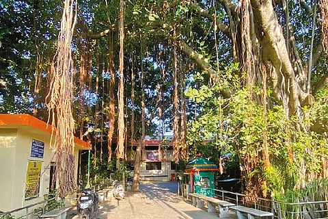 Nesapakkam burial ground.