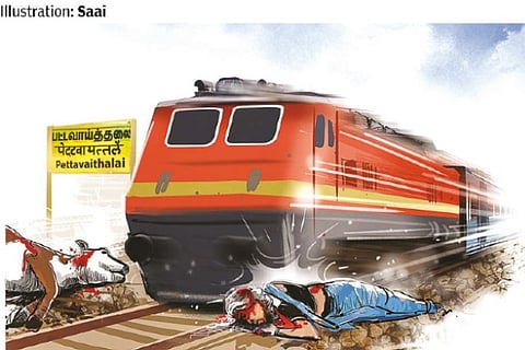 Woman dies trying to save cow from train