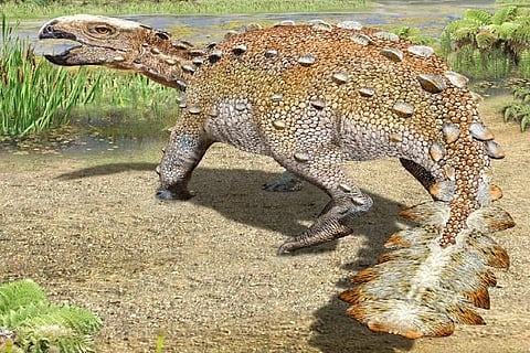 New dinosaur species from Chile had a unique slashing tail