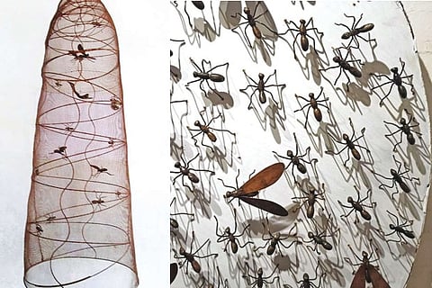 Sculptures that will be displayed at the exhibition