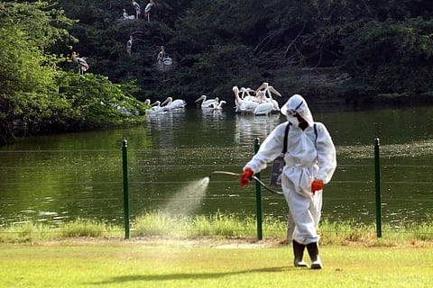 Image Courtesy: IANS