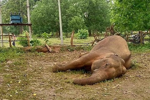 Representative Image