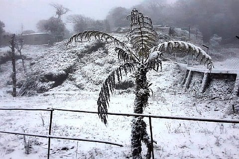 On Wednesday morning, there was a huge snowfall on the Tiger Hills in Darjeeling