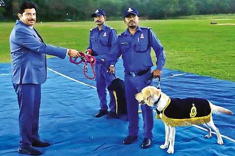Sniffer dogs Orio and Orly at the induction ceremony on Wednesday