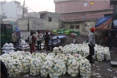 UP farmer throws away 10Q cauliflowers after Re 1 per kg offer