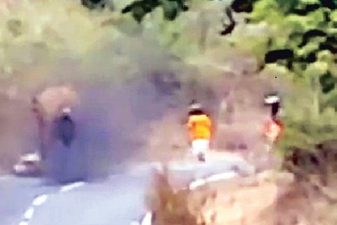 Video grab of woman running away while the jumbo attacks her bike