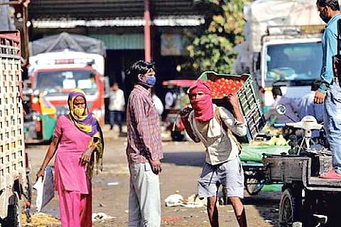 ANALYSING THE REFORMS: The two sides of corporate-led farming