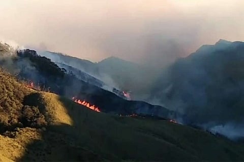 IAF choppers, NDRF teams try to extinguish wildfire in Nagaland's Dzukou Range