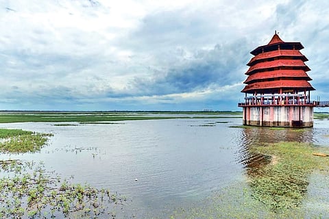 A recent photo of Chembarambakkam lake