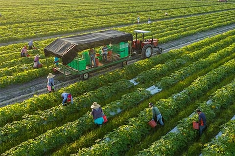 'Discretionary' sectors demand to reach pre-Covid levels only beyond FY22