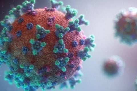 It takes 21.6 days to recover from smell, taste loss in Covid