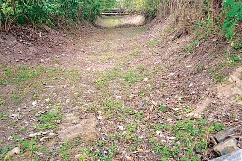 The dry irrigation channel in Sithathur village in Sholingur taluk