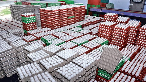 Eggs kept at a poultry in Namakkal